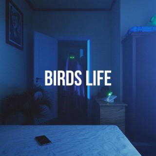 Birds Life