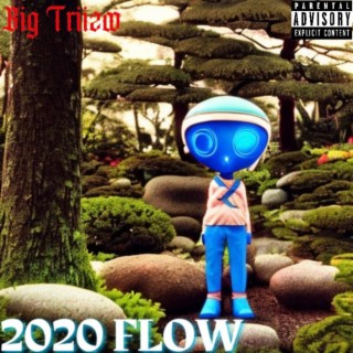 2020 Flow