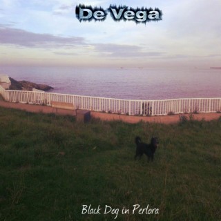 Black Dog in Perlora