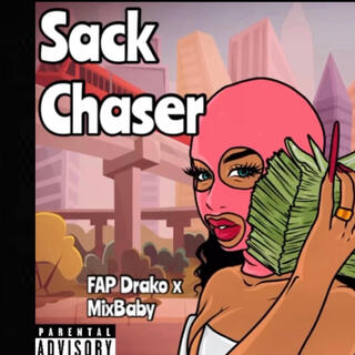 Sack Chaser