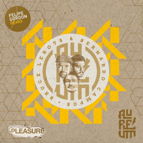 Pleasure (Felipe Gordon Remix) ft. Bruce Leroys