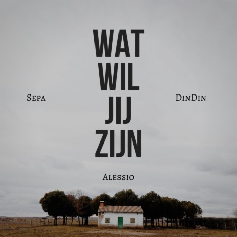 Wat Wil Jij Zijn (feat. Sepa & DinDin) | Boomplay Music