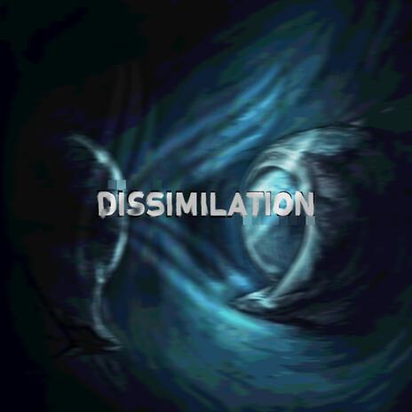 Dissimilation | Boomplay Music