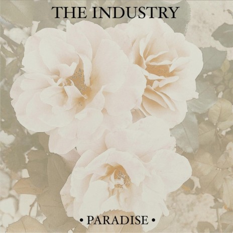 Paradise | Boomplay Music