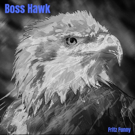 Boss Hawk | Boomplay Music