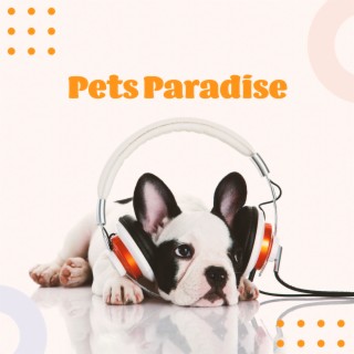 Pets Paradise: Relaxing Therapy Music for Happy Pets