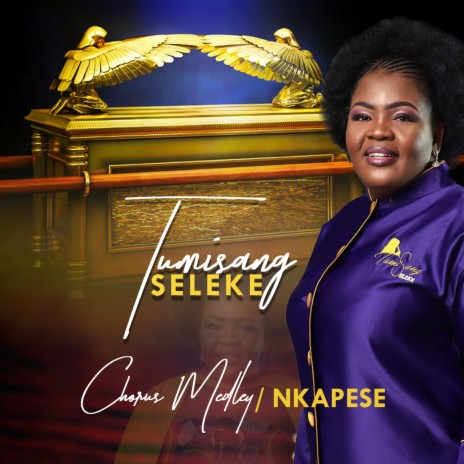 Chorus Medley/ Nkapese (Live) | Boomplay Music