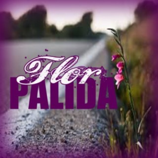 Flor Palida