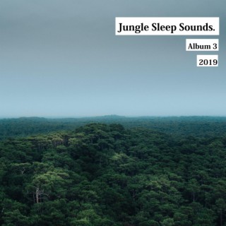 Rain and Jungle Sound for Sleep