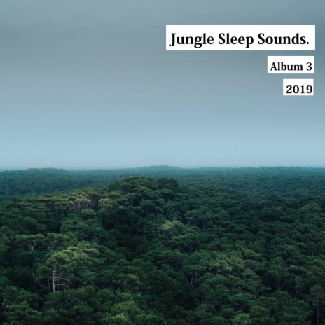 Rain in Jungle for Relax ft. MaxKL