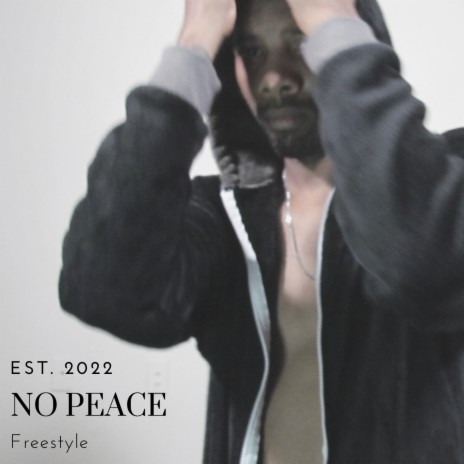 No Peace Freestyle | Boomplay Music