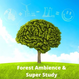 Forest Ambience & Super Study: Calming Wind, Birds and Chimes for Relaxation and Focus