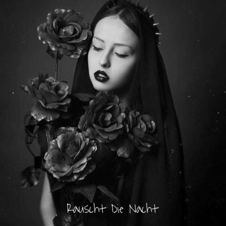 Rauscht Die Nacht | Boomplay Music
