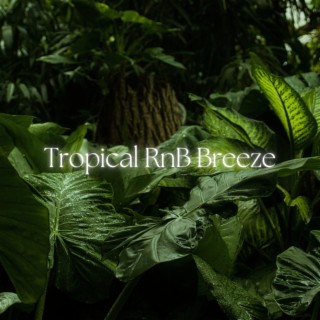 Tropical RnB Breeze