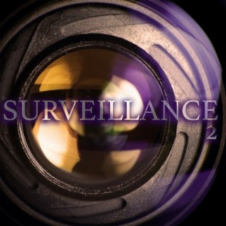 Surveillance, Vol. 2