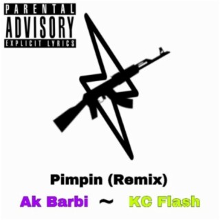 Pimpin (feat. Ak Barbi) [Remix]