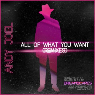 All Of What You Want (Remixes)