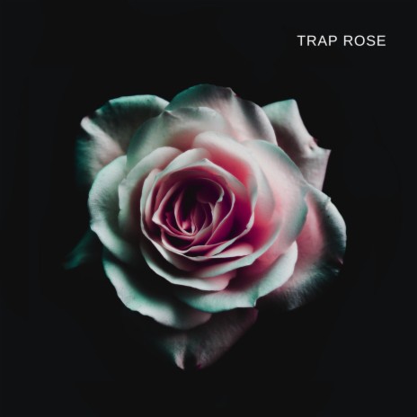 Trap rose