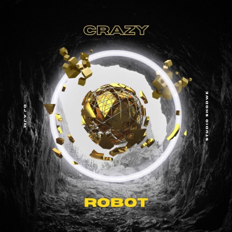 Crazy Robot | Boomplay Music