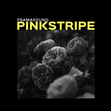 Pinkstripe