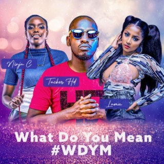 What Do You Mean? ft. Lamu & Tucker HD lyrics | Boomplay Music