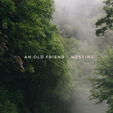 Nesting | Boomplay Music