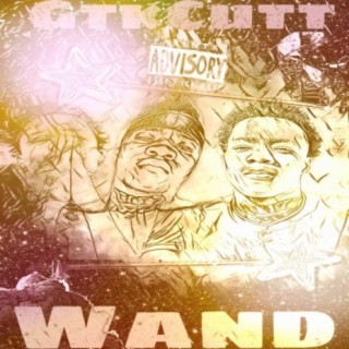 Wand