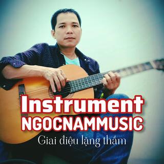 Giai điệu lặng thầm - Instrument