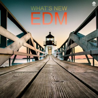 What's New EDM