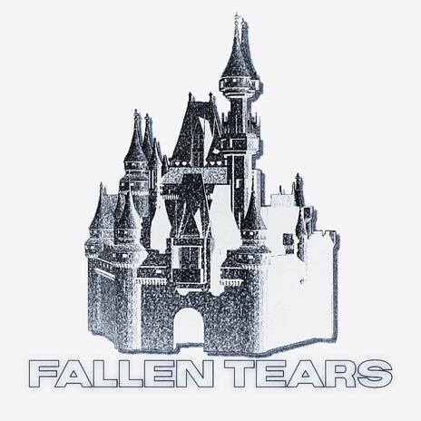 Fallen Tears | Boomplay Music