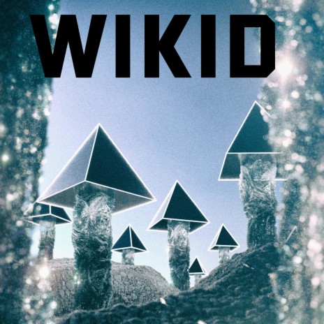 WIKID | Boomplay Music