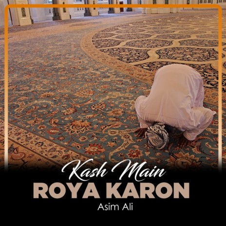 Kash Main Roya Karon | Boomplay Music