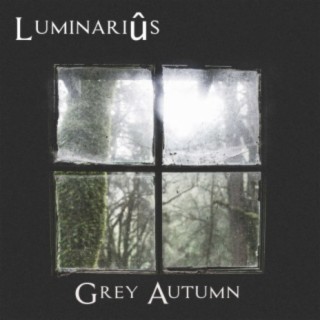Grey Autumn