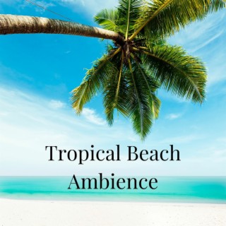 Tropical Beach Ambience: Thailland Ocean Waves for Relaxation & Holiday Feelings