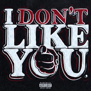 I Don't Like You lyrics | Boomplay Music