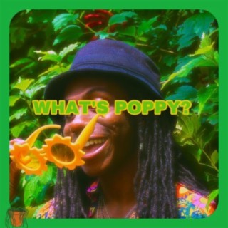 WHAT'S POPPY?//UNCLE SAGI lyrics | Boomplay Music