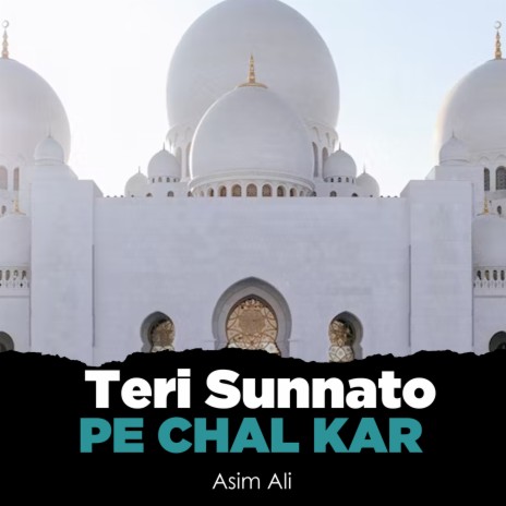 Teri Sunnato Pe Chal Kar | Boomplay Music