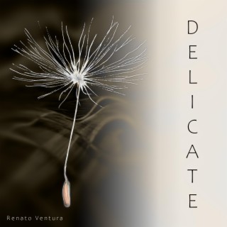 Delicate