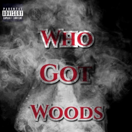 Who Got Woods | Boomplay Music