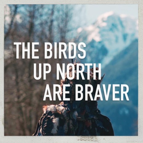 The Birds Up North Are Braver | Boomplay Music