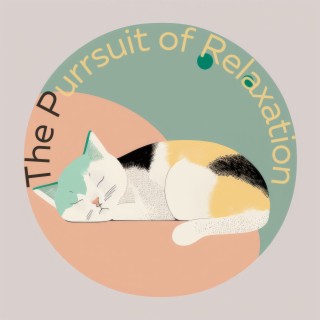 The Purrsuit of Relaxation