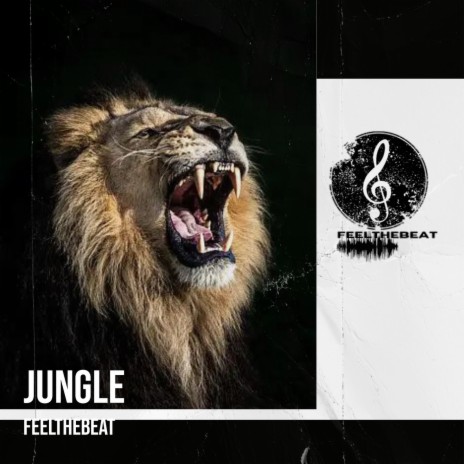 Jungle | Boomplay Music