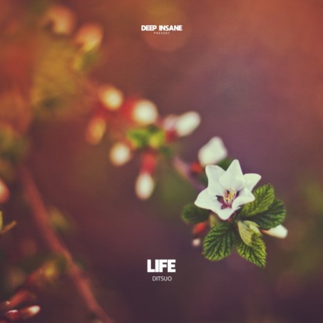 Life (Extended Mix) | Boomplay Music