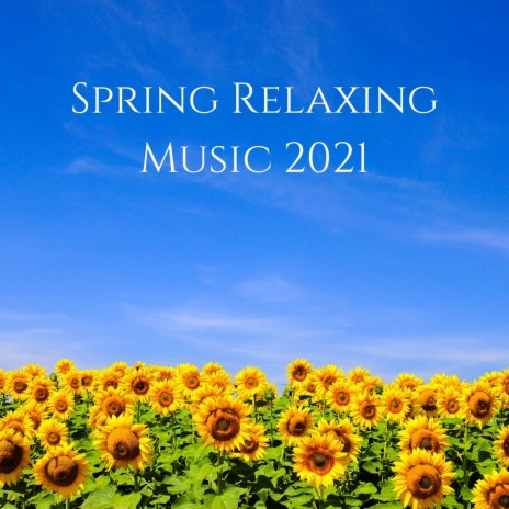 Spring Feelings | Boomplay Music