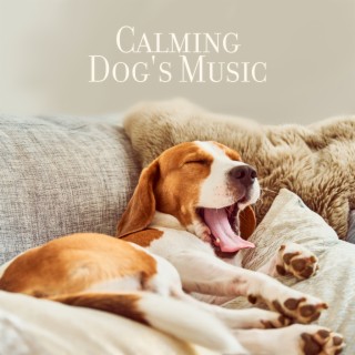 Calming Dog's Music: Treatment of Anxiety & Depression, Stress Relief