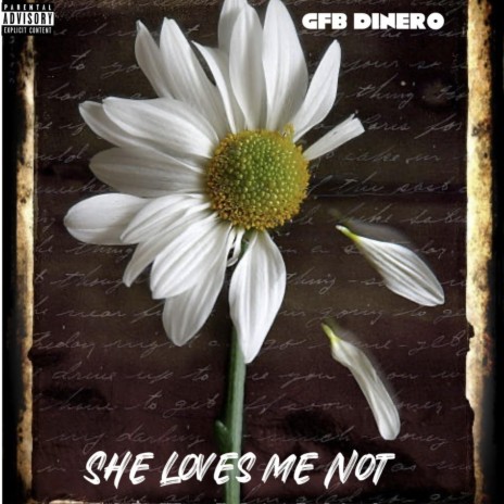 She Loves Me Not | Boomplay Music