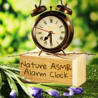 Nature ASMR Alarm Clock