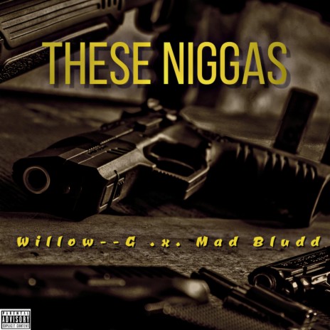 These Niggas (Radio Edit) ft. Willow--G