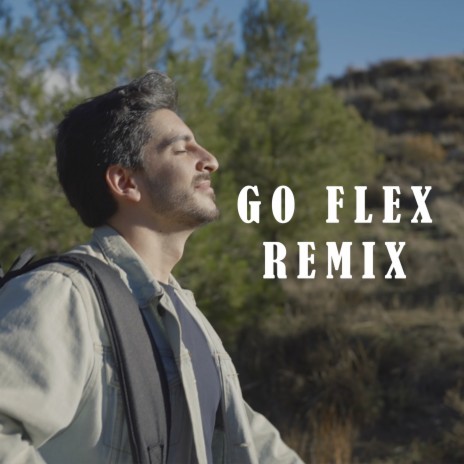 Go Flex | Boomplay Music