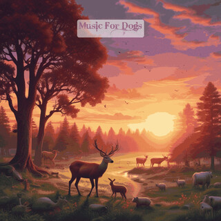 Music For Dogs